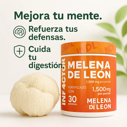 Nuevo VitaLion - Melena de León Orgánico Premium